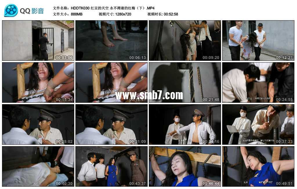 红豆的天空 永不凋谢的红梅（下）视频下载