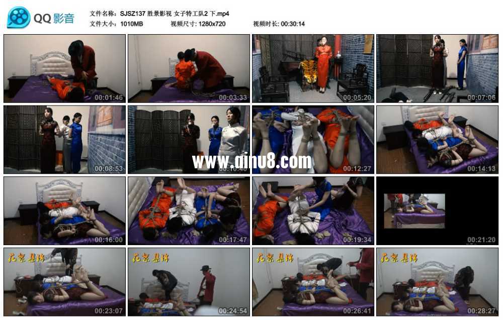 胜景影视 女子特工队2 下