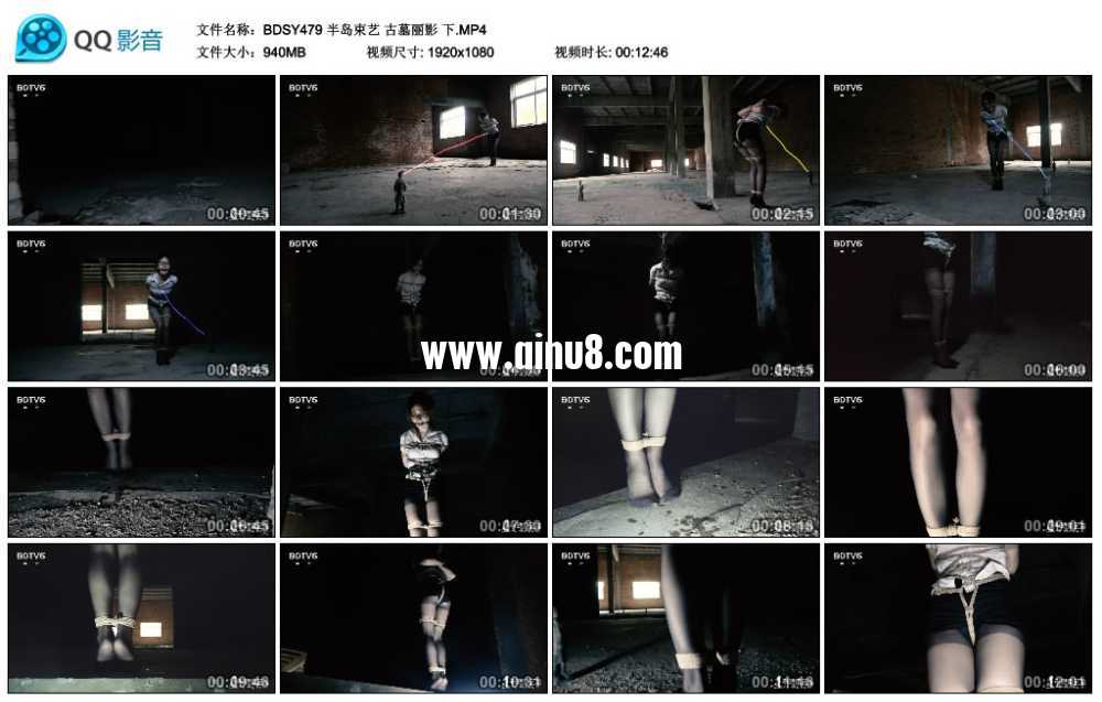 半岛束艺 古墓丽影 下视频下载