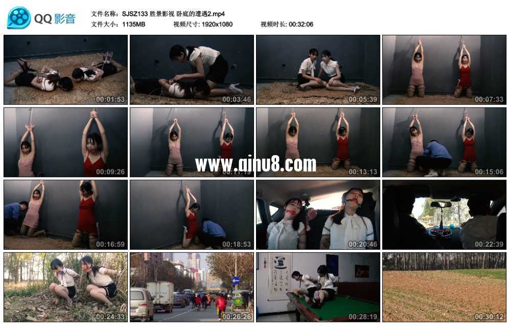 胜景影视 卧底的遭遇2