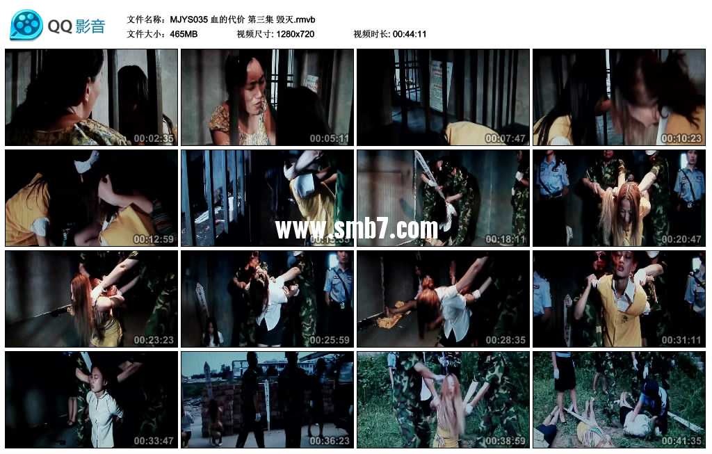 MJ影视－血的代价 第三集 毁灭