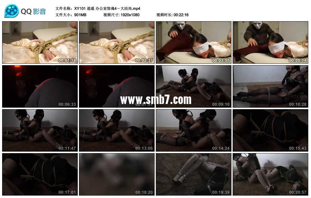 逍遥 办公室惊魂4-大结局 逍遥 办公室惊魂4-大结局