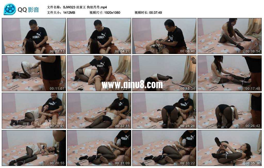 丝家王 狗奴丹丹视频下载
