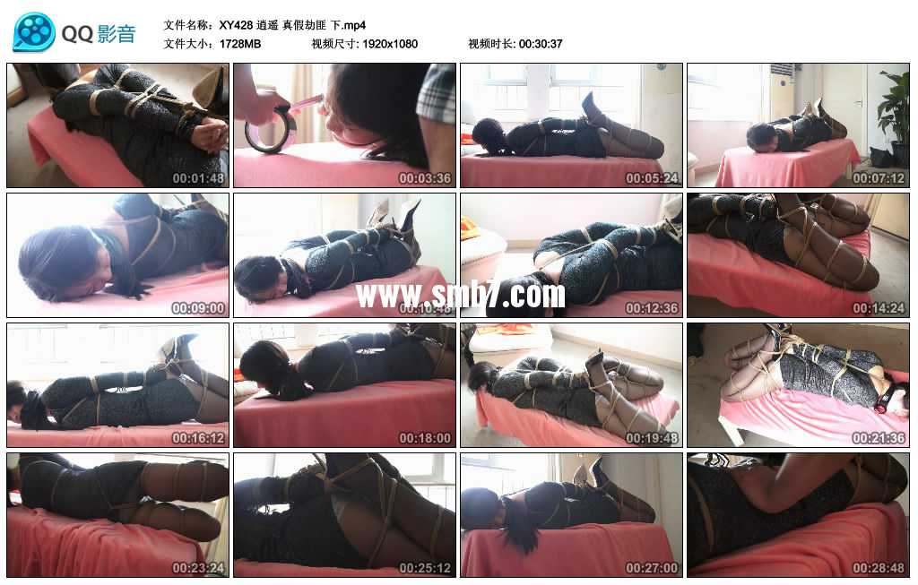 逍遥 真假劫匪 下 逍遥 真假劫匪 下