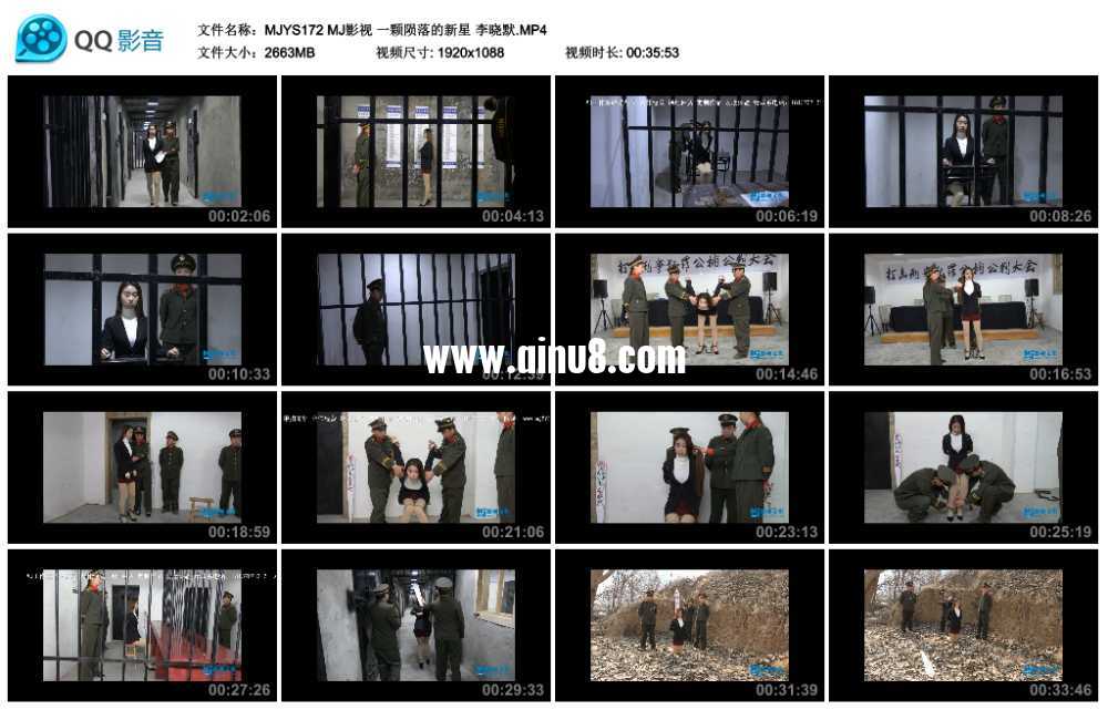 MJ影视 一颗陨落的新星 李晓默