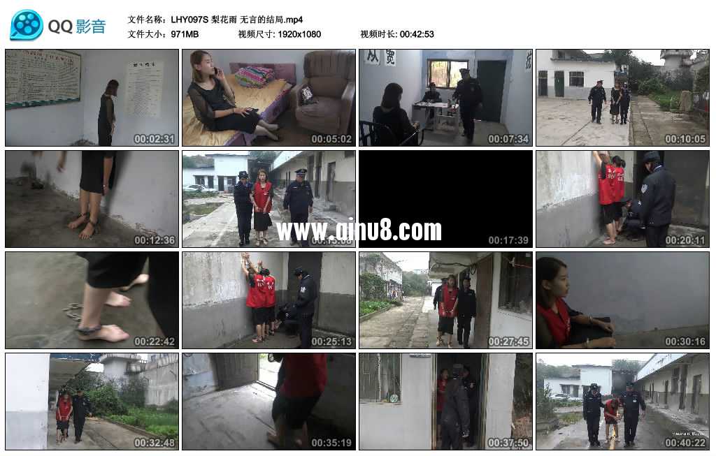 梨花雨 无言的结局