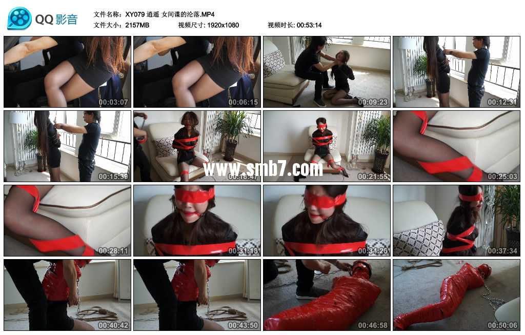 逍遥 女间谍的沦落 上视频下载