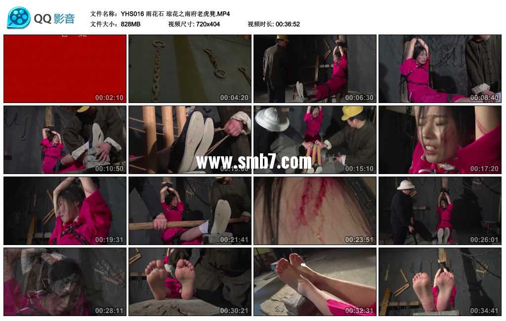 雨花石 琼花之南府老虎凳视频下载