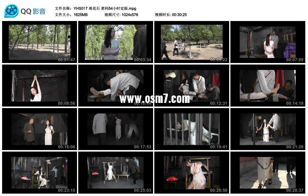 雨花石 密码54小时定版视频下载