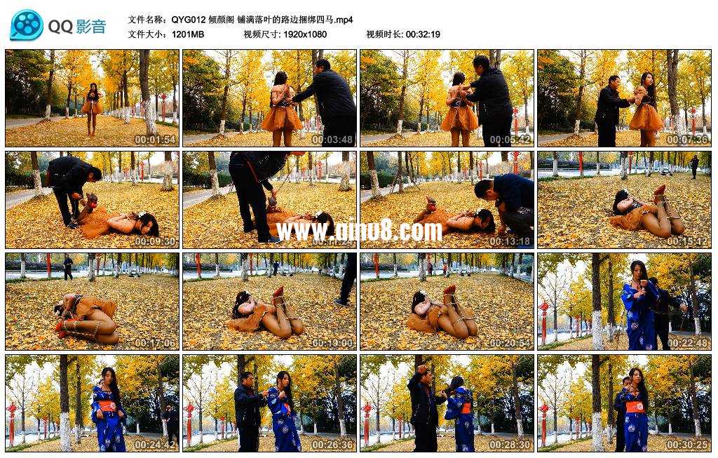 倾颜阁 铺满落叶的路边捆绑四马视频下载
