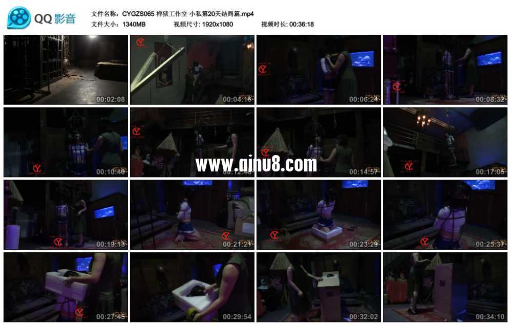 禅狱工作室  小私20天苦难历程结局篇视频下载