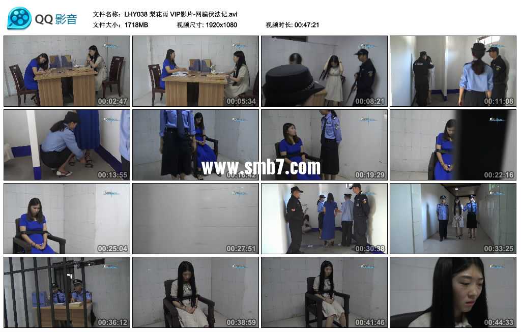梨花雨 VIP影片-网骗伏法记 上