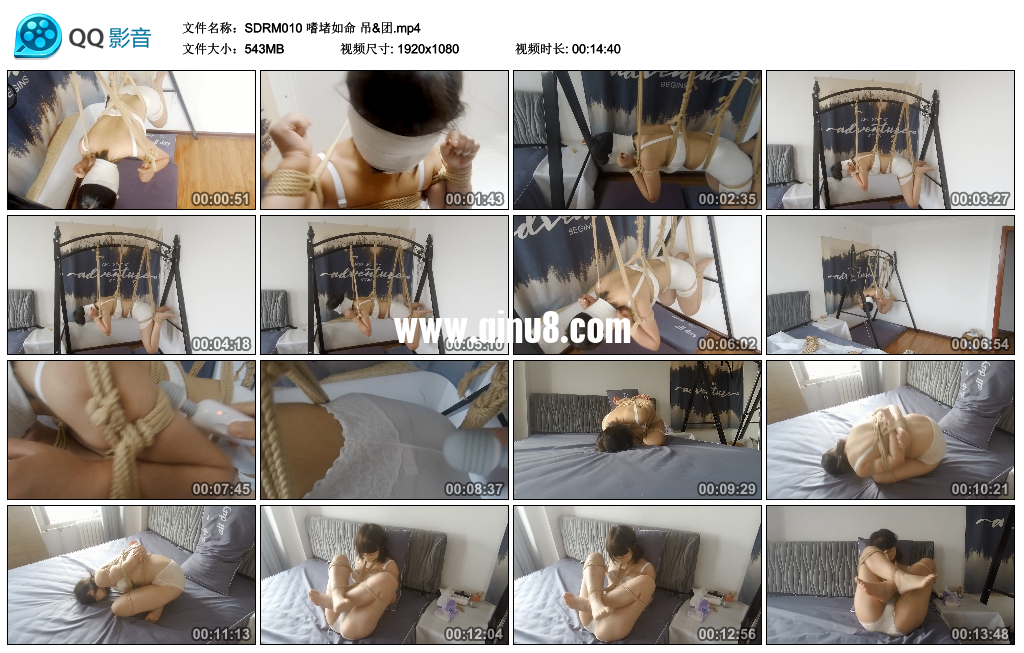 嗜堵如命 吊&团视频下载