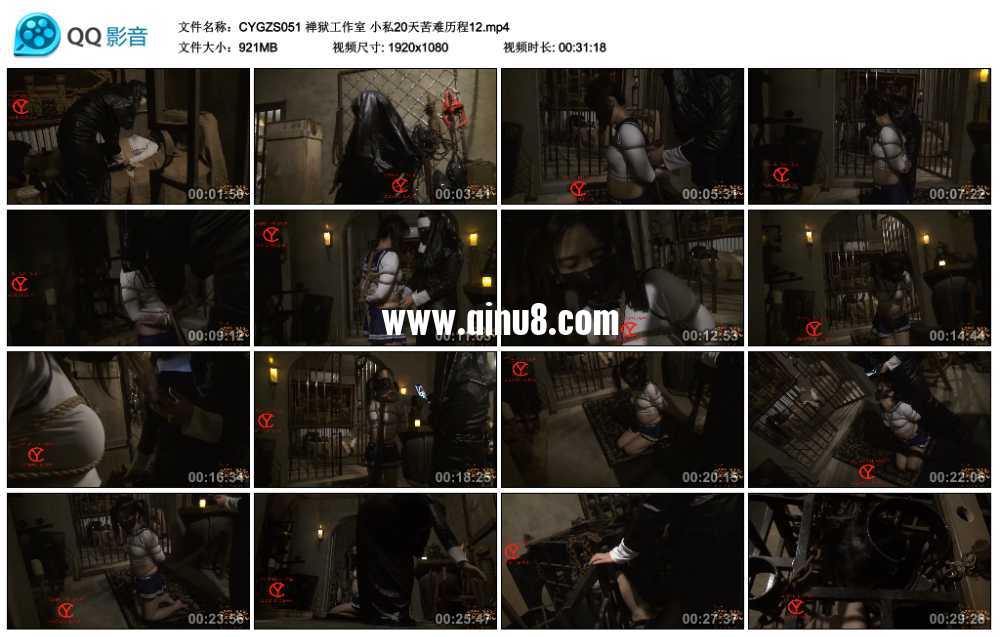 禅狱工作室 小私20天苦难历程12