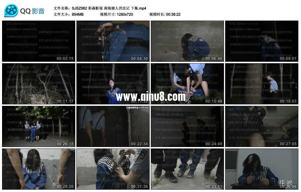 彩森影视 商海丽人伏法记 上下集 彩森影视 商海丽人伏法记 上下集