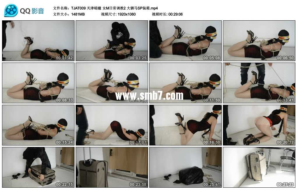 天津暗瞳 女M日常调教2 大驷马SP装箱 天津暗瞳 女M日常调教2 大驷马SP装箱