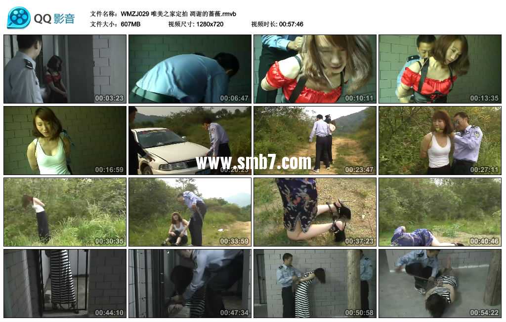 唯美之家定拍 凋谢的蔷薇.