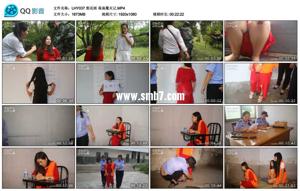 梨花雨 毒枭覆灭记
