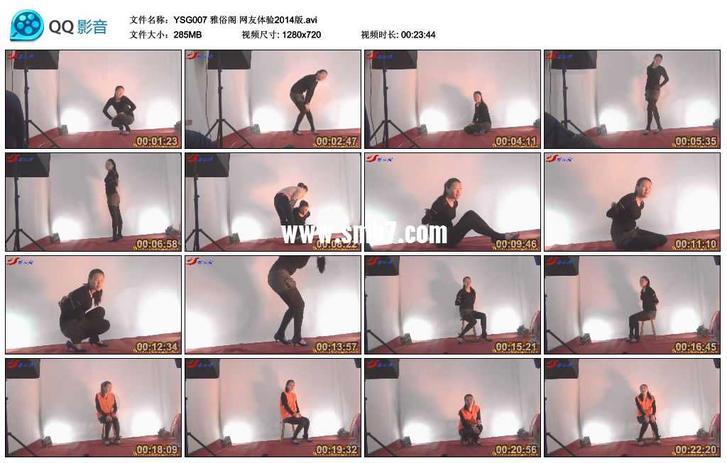 雅俗阁 网友体验2014版