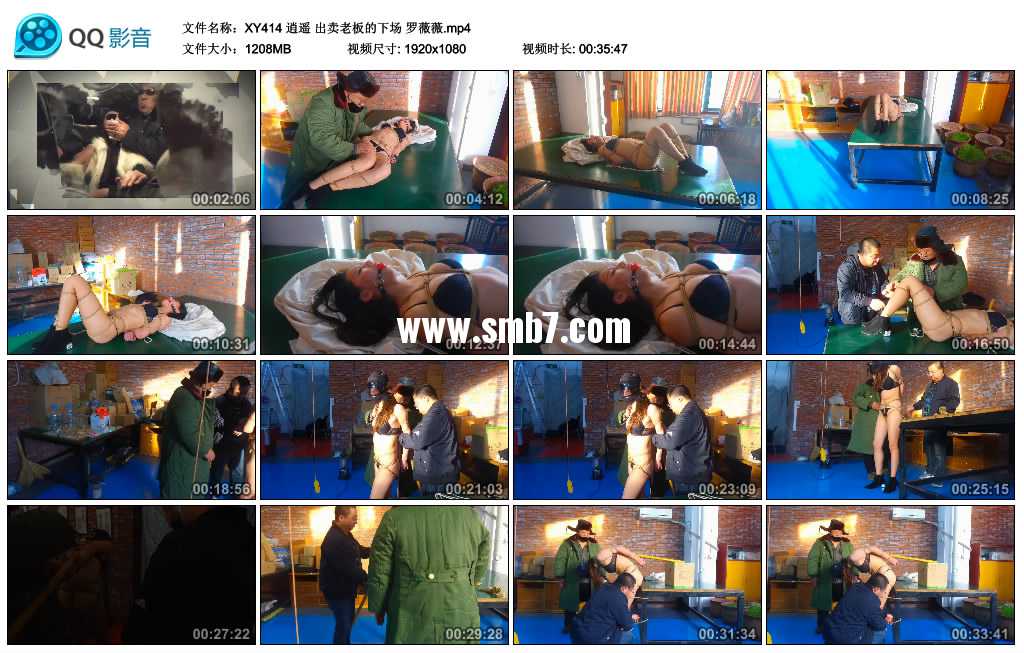 逍遥 出卖老板的下场 罗薇薇视频下载