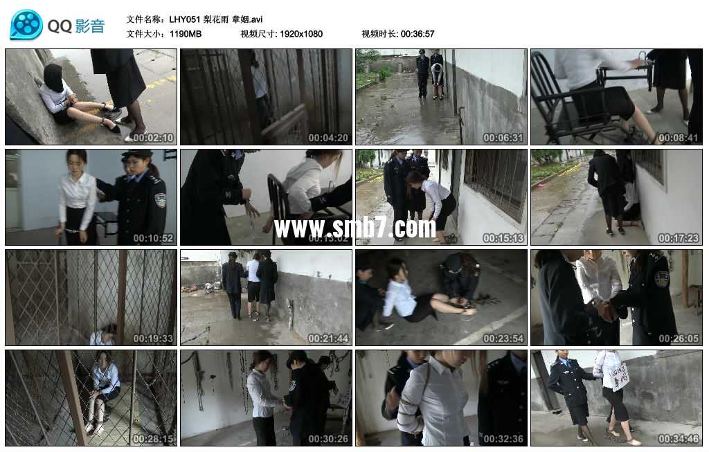 梨花雨 女间谍章姻伏法记