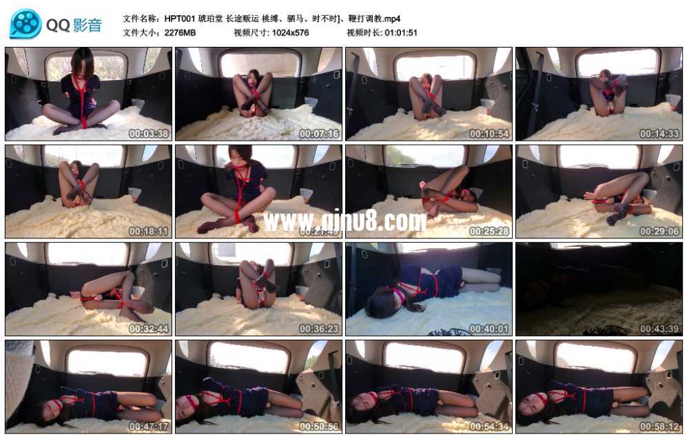 琥珀堂 长途贩运 桃缚、驷马、时不时、鞭打调教视频下载