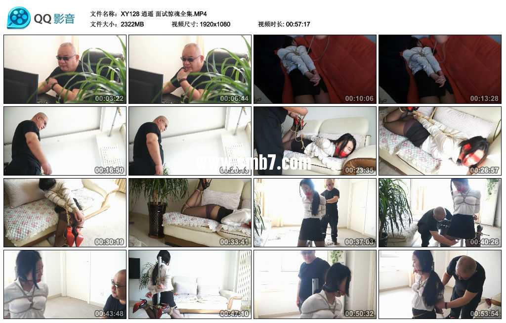 逍遥 面试惊魂全集 逍遥 面试惊魂全集