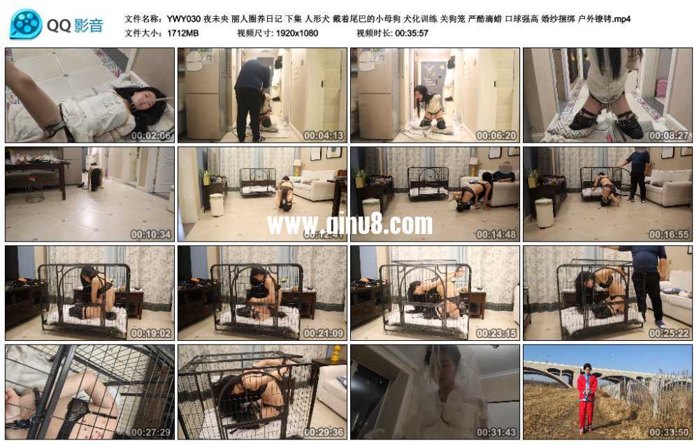 夜未央 丽人圈养日记 下集 人形犬 戴着尾巴的小母狗 犬化训练 关狗笼 严酷滴蜡 口...