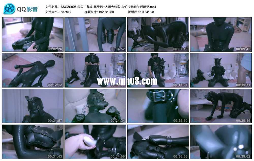 闪闪工作室 黑曼巴+人形犬装备 与蛇皮狗狗午后玩耍视频下载