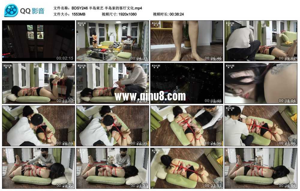半岛束艺 半岛家的客厅文化视频下载
