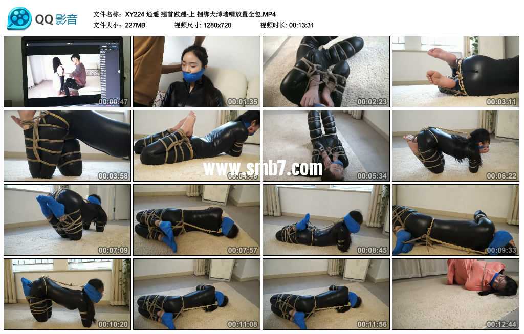 逍遥 翘首跂踵-上 捆绑犬缚堵嘴放置全包视频下载