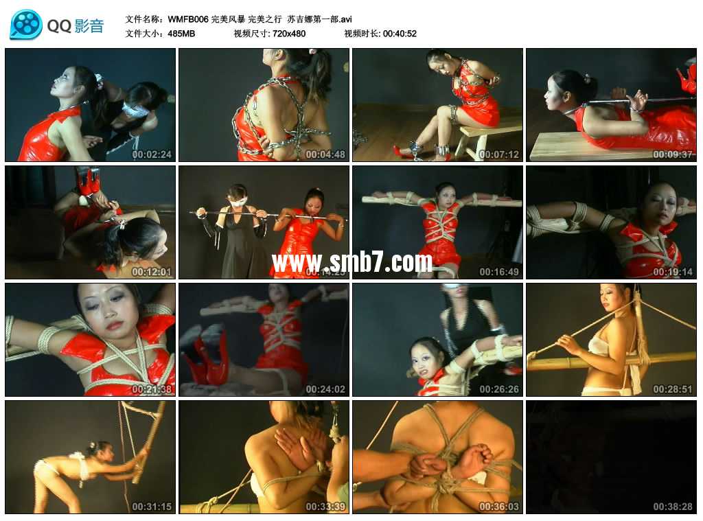 完美风暴 完美之行  苏吉娜第一部