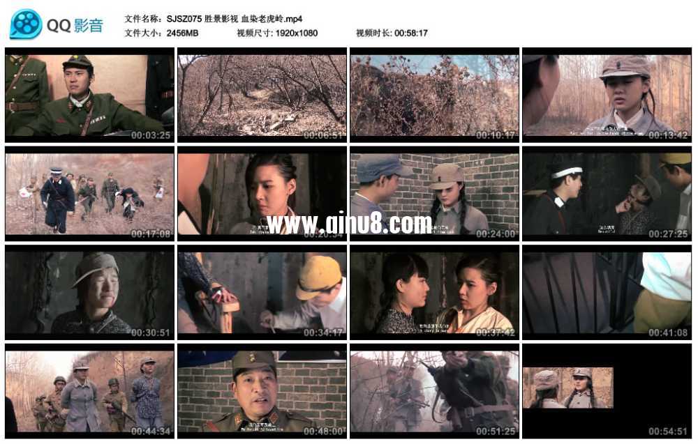胜景影视 谍战大片 血染老虎岭