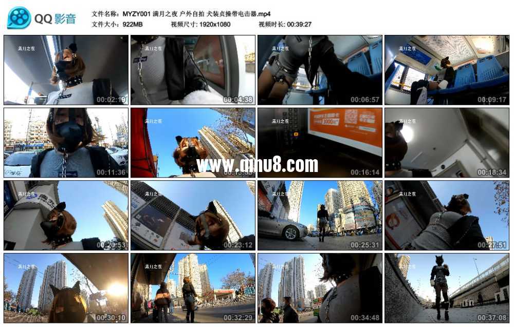满月之夜 户外自拍 犬装贞操带电击器视频下载