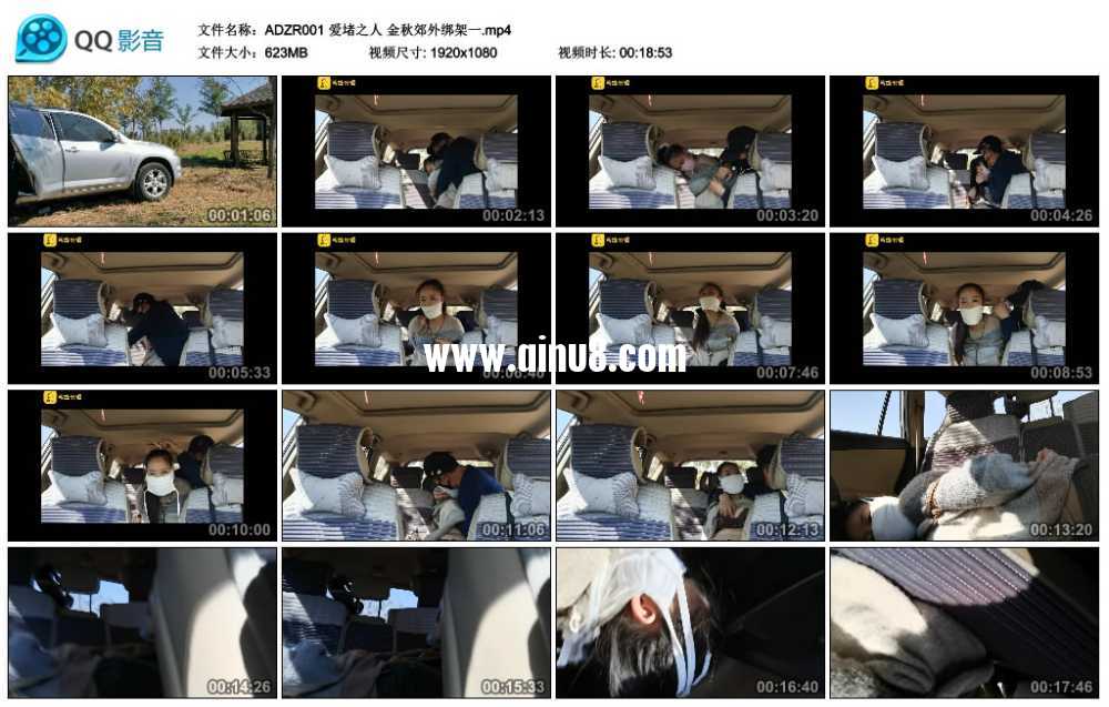 爱堵之人 金秋郊外绑架一视频下载