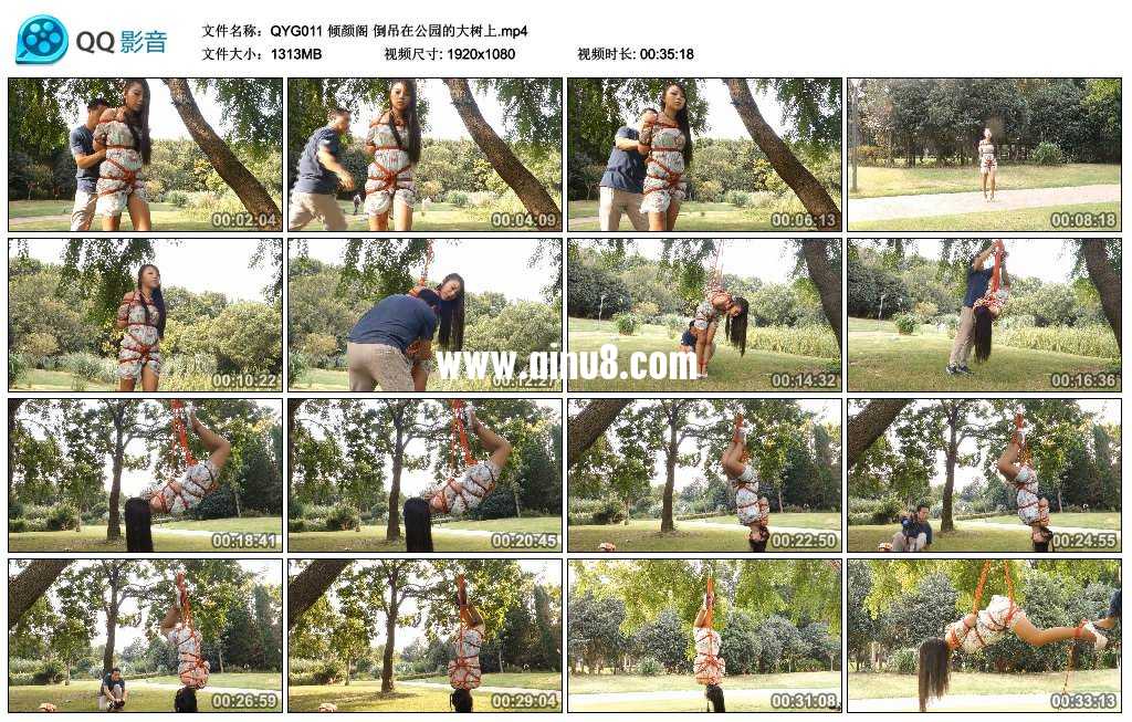 倾颜阁 倒吊在公园的大树上视频下载