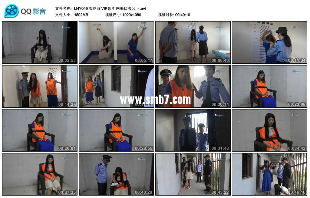 梨花雨 VIP影片 网骗伏法记 下