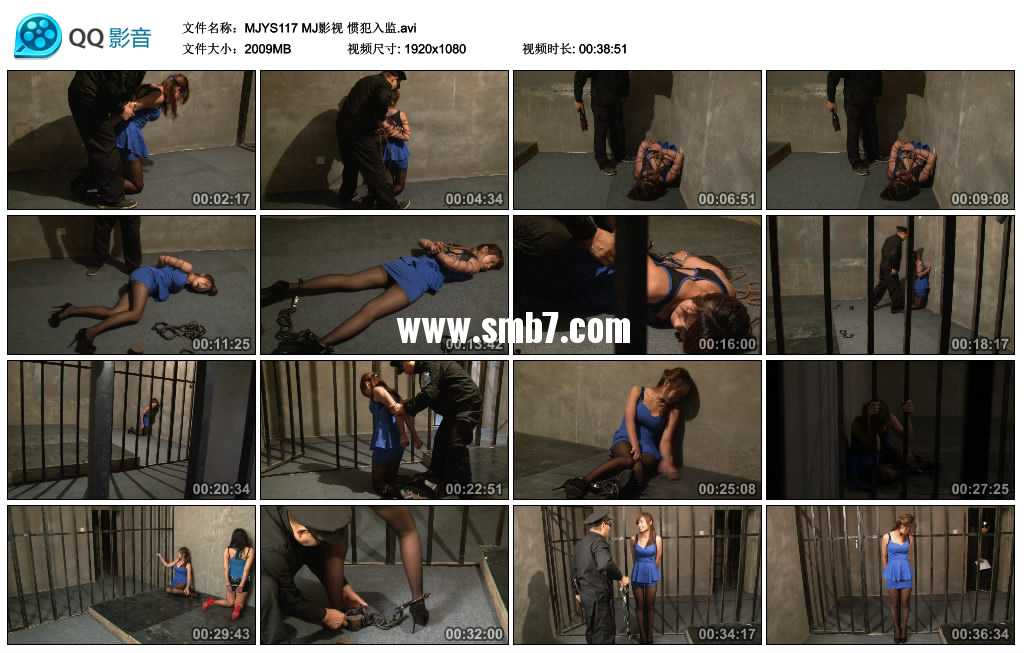 MJ影视 惯犯入监