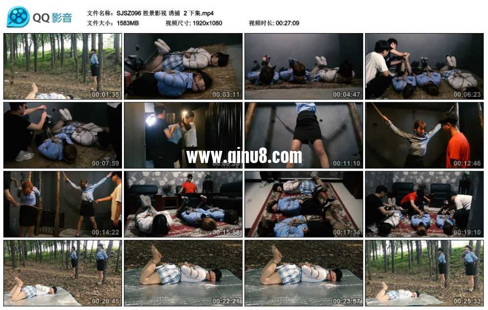 胜景影视 诱捕  2 下集