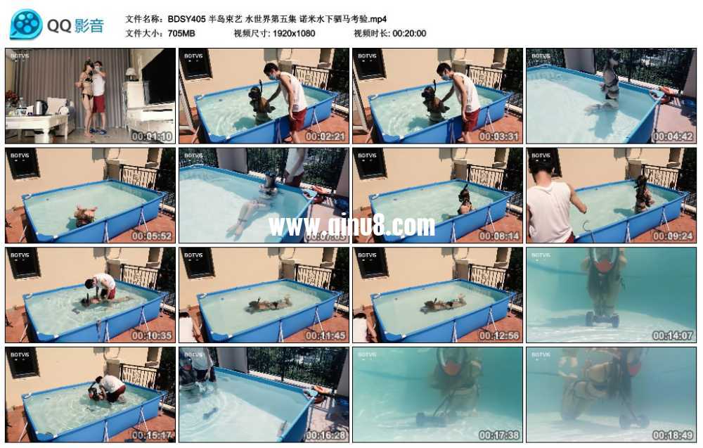半岛束艺 水世界第五集 诺米水下驷马考验视频下载