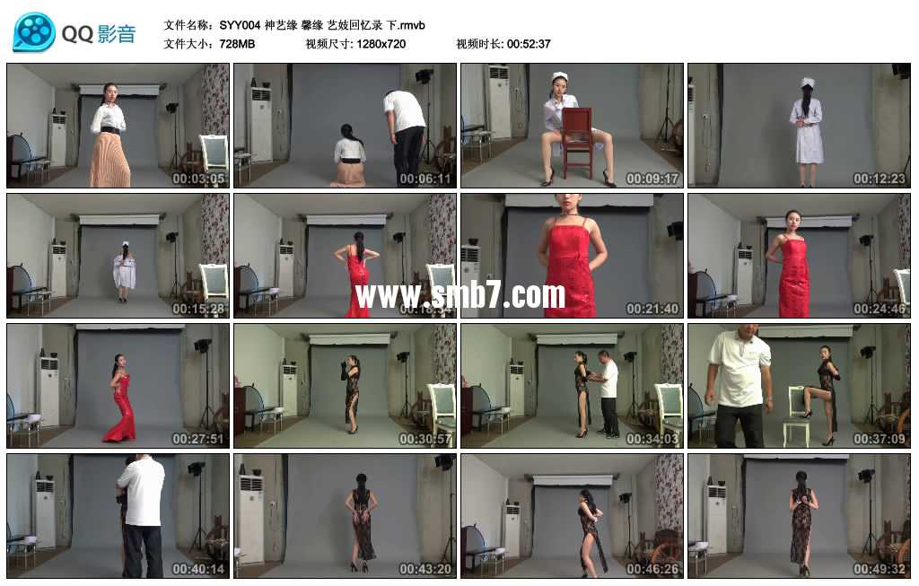 神艺缘 馨缘 艺妓回忆录 下