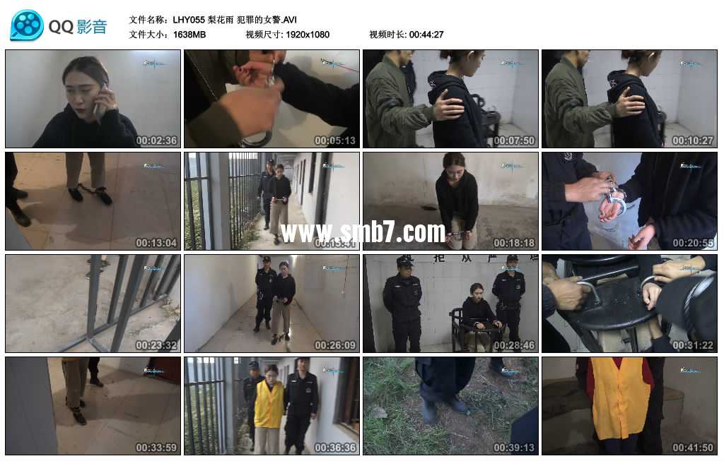 梨花雨 犯罪的女警