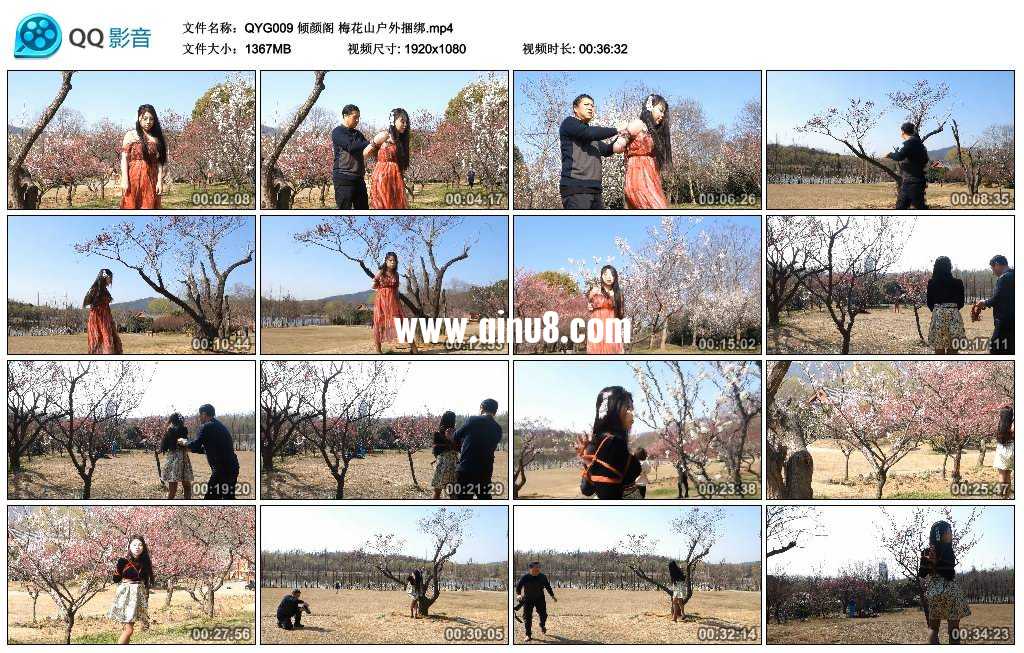 倾颜阁 梅花山户外捆绑视频下载
