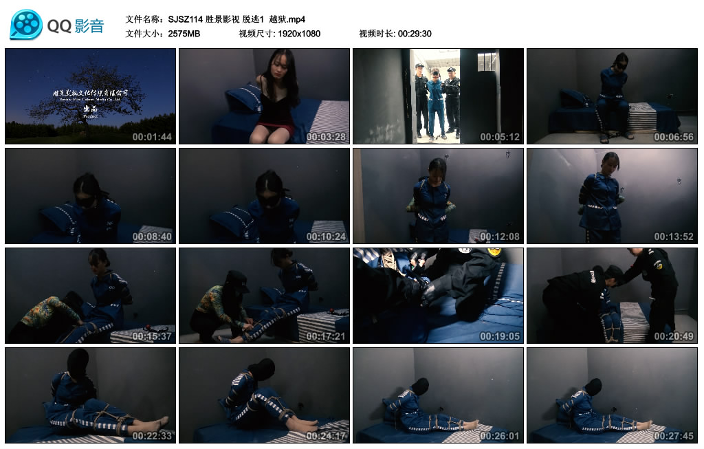 胜景影视 脱逃1  越狱