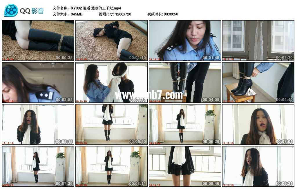 逍遥 通敌的王子妃视频下载
