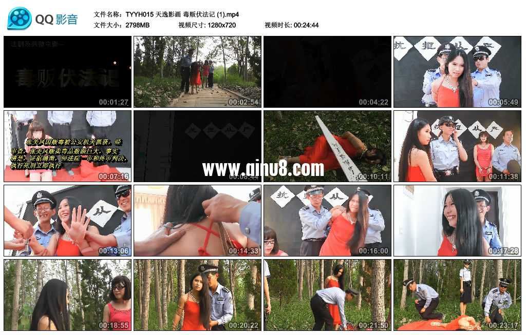 天逸影画 毒贩伏法记视频下载