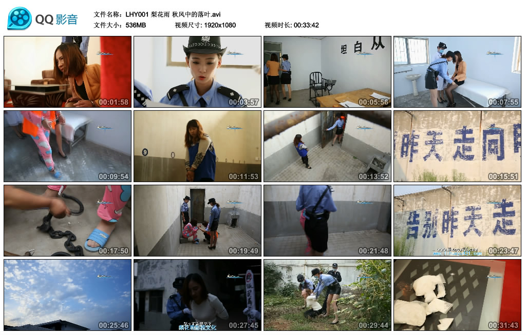 梨花雨 秋风中的落叶
