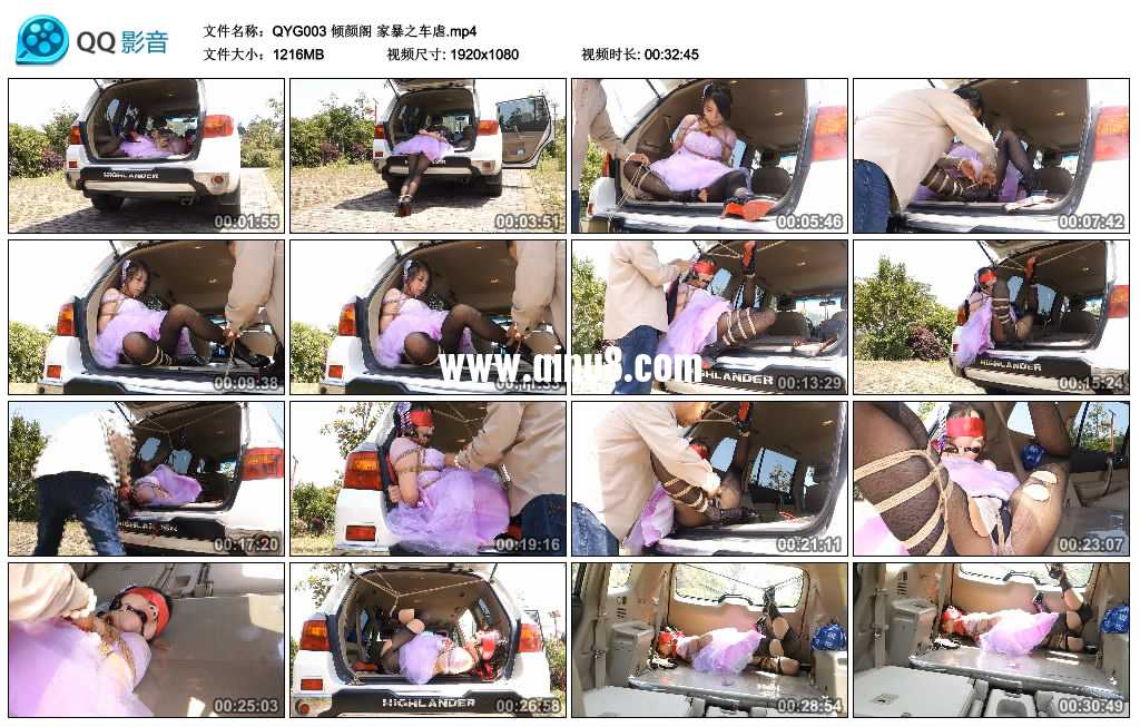 倾颜阁 家暴之车虐2视频下载