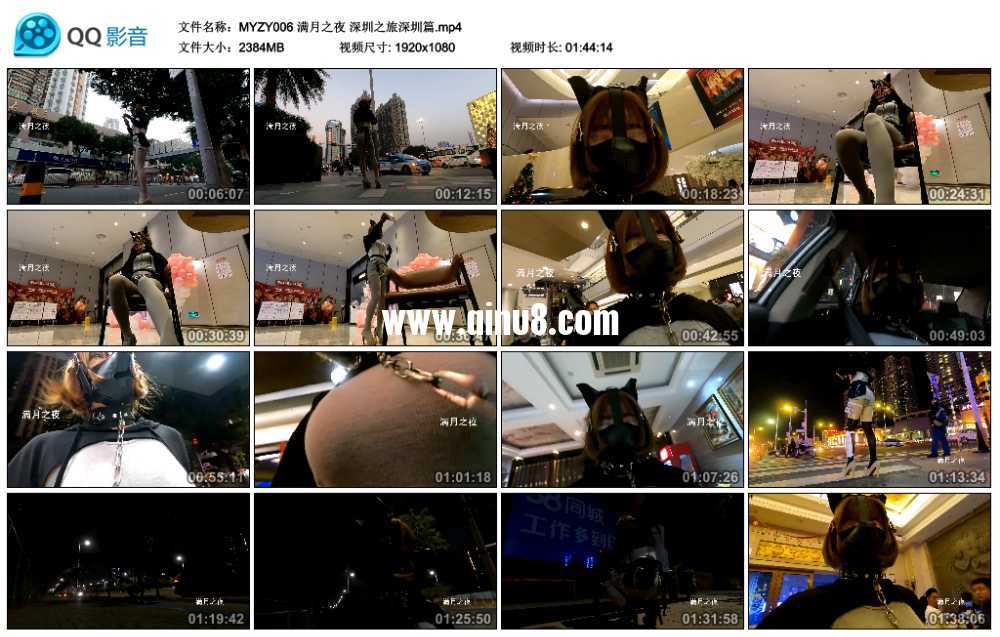 满月之夜 深圳之旅深圳篇视频下载