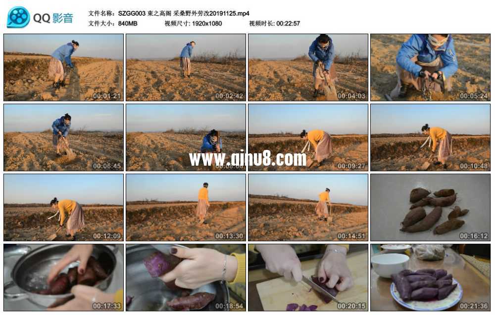 束之高阁 采桑野外劳改20191125视频下载